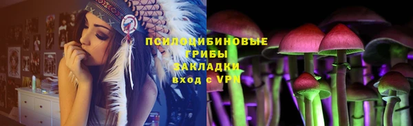 jwh Пересвет