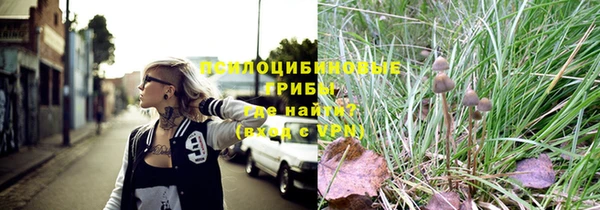 jwh Пересвет